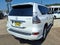 2019 Lexus GX 460